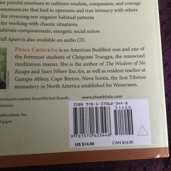 Pema Chodron When Things Fall Apart Paperback Buudhist - Picture 8 of 8